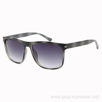 Women's Panga Square plastic Sunglasses